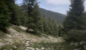 Trail Walking Seyne - Dormillouse lac noir lac du milieu lac de la cabane  - Photo 2