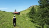 Randonnée Marche Roure - Mont Autcellier de Roure au Refuge Longon J1 - Photo 1