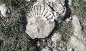 Excursión Senderismo La Palud-sur-Verdon - col plein voir - Photo 13