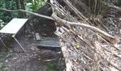 Randonnée Marche Magny-les-Hameaux - bois des roches - Photo 11