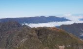 Trail Walking Ilha - Madère : vers le Pico Ruevo sommet de l'île - Photo 17