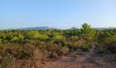 Tocht Stappen Roquebrune-sur-Argens - Lac des Requins - Photo 2