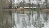 Randonnée Marche Viroflay - Les haras de Jardy et le mémorial Lafayette - Photo 10