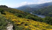 Randonnée Marche Villefort - Lac Villefort la Garde Guerin, lac de Villefort.(31-05-2020) - Photo 17