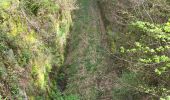 Trail Walking Lemberg - Lemberg - cascade des Ondines - sentiers des grottes et des étangs - Photo 20