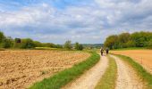 Tour Wandern Doische - De Gochenée à Vodelée par la vallée de l'Hermeton - Photo 9