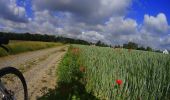 Randonnée V.T.T. Lasne - VTT de Maransart à la forêt de soigne - Photo 2