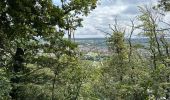 Trail Walking Namur - La Plante Citadelle Namur 16,3 km - Photo 7