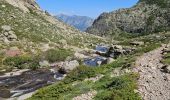 Tocht Stappen Albertacce - cascade du radule - Photo 3