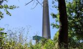 Tour Wandern Braine-le-Comte - Promenade des canaux de Ronquières - Photo 10