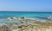 Randonnée Marche Santo-Pietro-di-Tenda - Le sentier côtier entre la plage de Seleccia et celle de Lotu - Photo 8