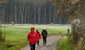 Trail Walking Marche-en-Famenne - Grimbiemont - Photo 11