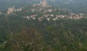Tocht Stappen Najac - boucle najac - Photo 4