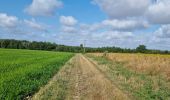 Tour Wandern Autrèche - Autrèche - Photo 10