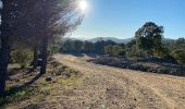 Trail Walking Fréjus - z mines de Boson 14-12-21 - Photo 5