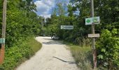 Trail Walking Seine-Port - Seine-Port - Forêt de Bréviande - Photo 1