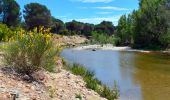 Excursión Senderismo Le Muy - SityTrail - les p'tits étangs de Palayson - Photo 18