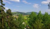 Tour Zu Fuß Koberwald - CZ-Chléviště - Photo 1