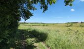 Trail Walking Athée-sur-Cher - Athée-sur-Cher - Chandon - Tour du Brandon - 21.2km 160m 4h40 (50mn) - 2025 05 10 - Photo 5