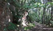 Percorso Marcia Vœgtlinshoffen - abbaye Marbach boucle par col Hasstatt - Photo 12