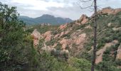 Randonnée Marche Saint-Raphaël - agay. Le pic des ours depuis la col du lantisque  - Photo 2