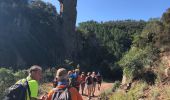 Tour Wandern Fréjus - Plan de l'Esterel depuis la Maison Forestière du Malpey - Photo 10