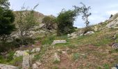 Trail Walking L'Albère - ullat . piste . puig orella . puig St cristau . puig orella . ullat - Photo 4