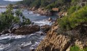 Randonnée Marche Ramatuelle - Sentier du littoral - Photo 6