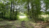 Randonnée Marche Villers-Cotterêts - en forêt de Retz_87_la Laie des Masures par la Route Chrétiennette - Photo 16