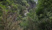 Tour Wandern La Palud-sur-Verdon - Chemin Martel  - Photo 9
