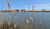 Excursión Senderismo Fréjus - etangs de villepey et collines - Photo 16