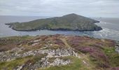 Tour Wandern West Cork - Dursey Sound - Allihies beach - Photo 3