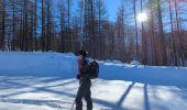 Trail Touring skiing Isola - ski rando col Merciere - Photo 4
