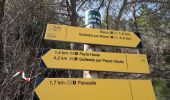 Trail Walking Guillestre - Risoul: Le Villaret   Peyre Haute - Photo 12