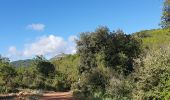 Tour Wandern Le Val - Le Val le Cuit les Crêtes  - Photo 4