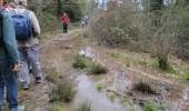 Randonnée Marche Flayosc - Le vallon de Figheiret - Photo 3