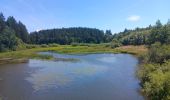 Tocht Stappen Bütgenbach - butgenbach tour du lac  - Photo 15