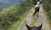 Trail Horseback riding Baztan - Elizondo - Urdax - Photo 10