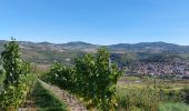 Randonnée Marche Les Martres-de-Veyre - PUY DE CORENT - Photo 14