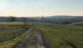 Trail Walking Walcourt - Randonnée autour de Walcourt - Photo 2