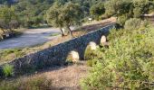 Percorso Marcia Roquebrune-sur-Argens - Circuit de l'eau Les Cavalières, La Maurette - Photo 5