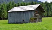 Randonnée A pied Altaussee - Sandling 241 - Photo 4