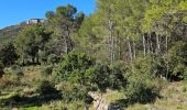 Trail Walking Cuers - Sous les barres de Cuers en partant de La Foux - Photo 9