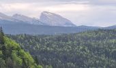 Tour Wandern Villard-de-Lans - La moliere - col d'herbouilly - pot du loup - crête - Photo 4