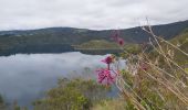 Tour Wandern Quiroga - Laguna de Cuicocha - Photo 18