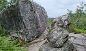 Tocht Stappen Fontainebleau - Bourron-Marlotte sentier Denecourt 11 - Photo 15