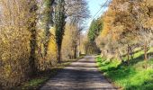 Trail Walking Durbuy - Le bois d’En(n)eille(s)  - Photo 6