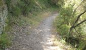 Tocht Stappen Les Aires - les aires, chapelle Saint Michel  - Photo 5