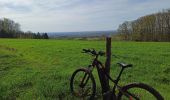 Trail Electric bike Fougerolles-Saint-Valbert - 13-04-24 Maison - la Corre(St Bresson)  - Photo 3