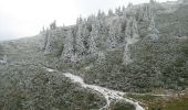 Excursión A pie Săcele - Podul Teslei - Șaua Tigăilor - Cabana Vf. Ciucaș - Photo 5